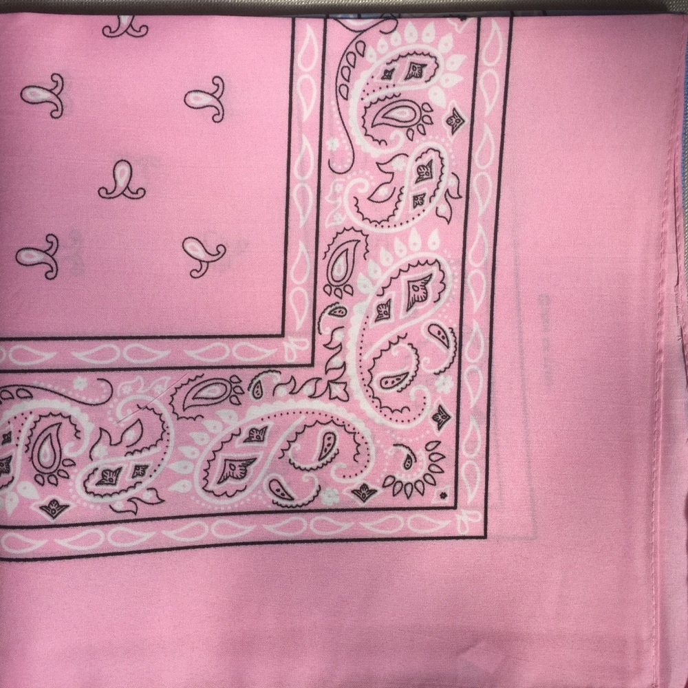 Pink Paisley Bandana - Standard 22” x 22” - New!